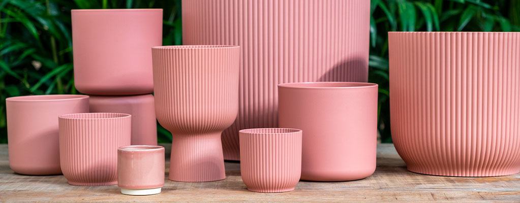 Paarse en roze bloempotten Paarse en roze bloempotten