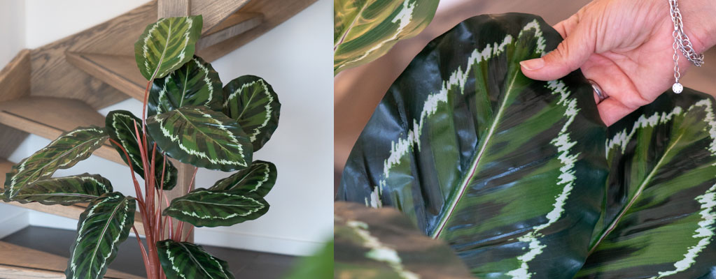 Calathea kunstplanten