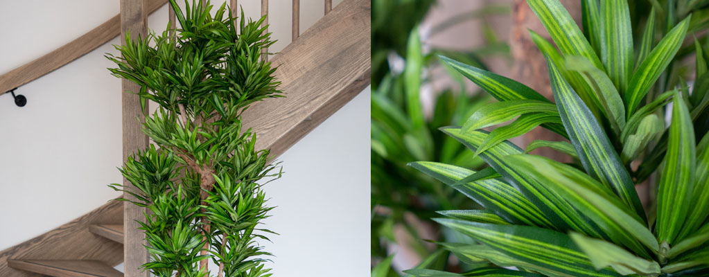 Dracaena kunstplanten