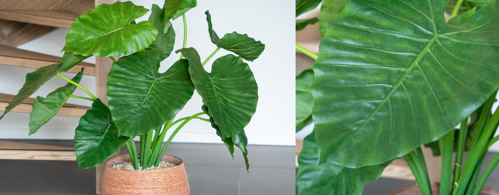 Alocasia kunstplanten 