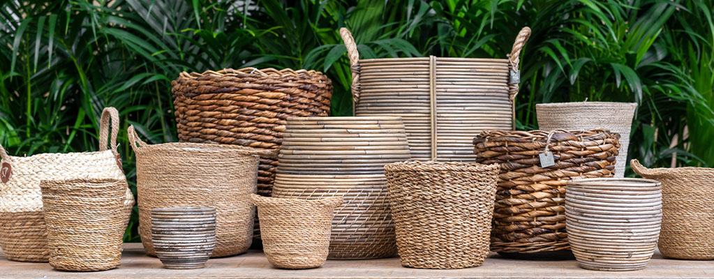 Zee Gedwongen concept Rattan manden kopen? - 123planten.nl