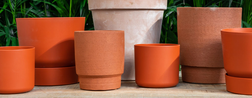 Belofte Magazijn niet Terracotta bloempotten kopen - 123planten.nl