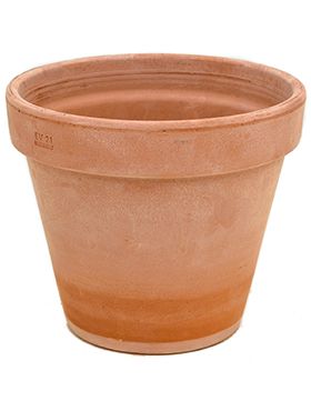 Terra Cotta Pot
