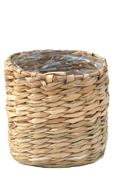 Alexis-mand-naturel-6cm