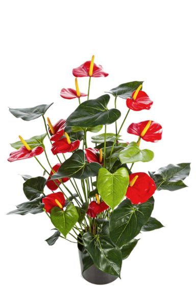 Anthurium kunstbloem