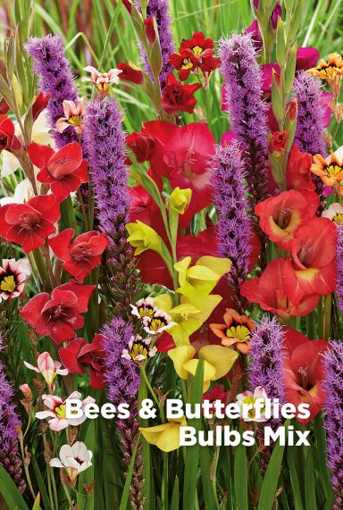Bees butterflies bloembollen mix