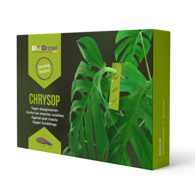 Biogroei chrysop-front-600px 2