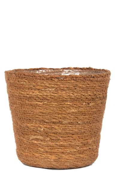 Bruine plantenmand 3