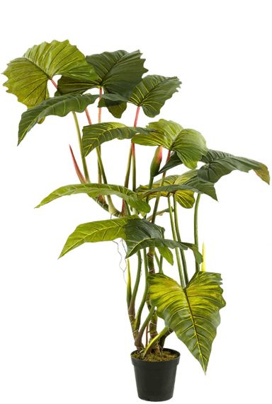 Colocasia alocasia kunstplant 1