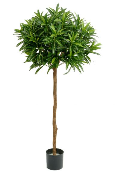 Croton kunstboom plant