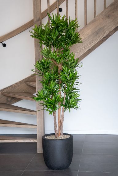 Dracaena kunstplanten