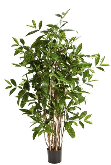 Dracaena surculosa kunstplant