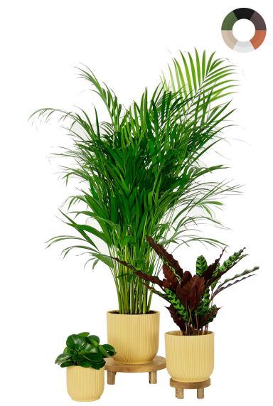 Elho pot en plant mix 1