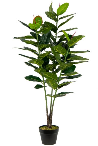 Ficus-robusta-groot-kunstplant-op-stam