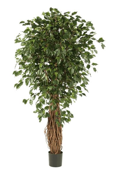 Ficus exotica kunstboom 2