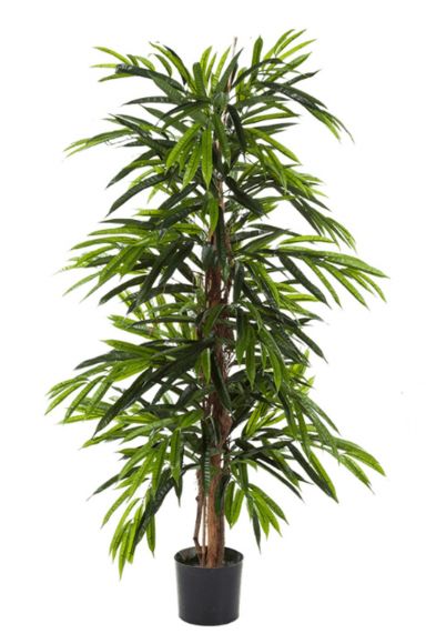 Ficus longifolia alii kunstplant