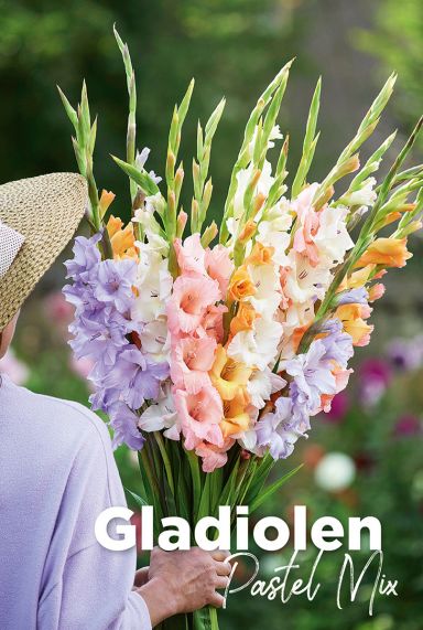 Gladiolen pastel mix bloembollen