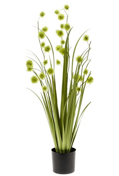 Grass pompom