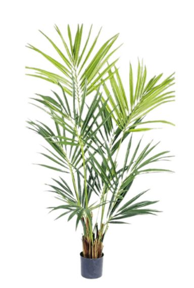Kentia palm kunstboom