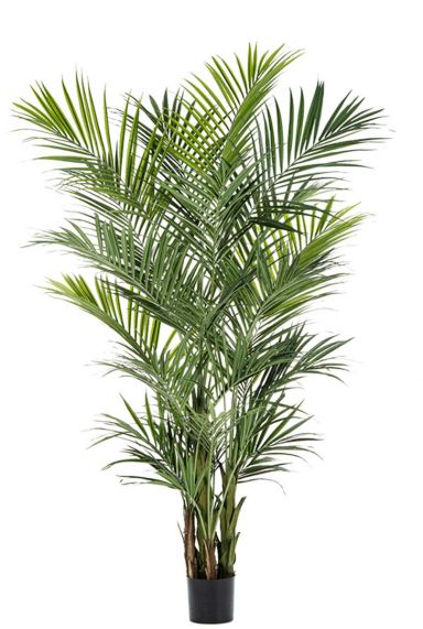 Kentia palm kunstplant 1