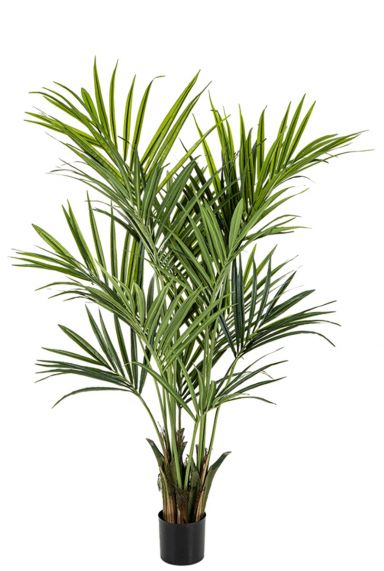 Kentia palm kunstplant 2
