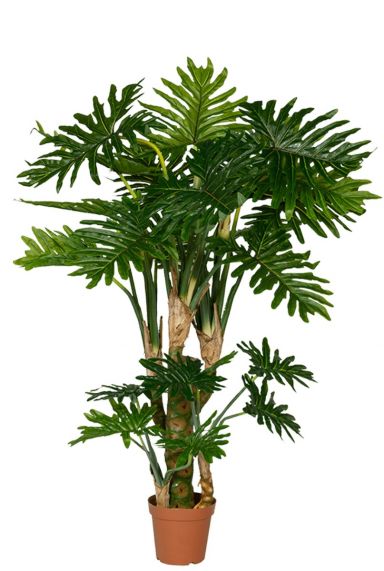 Kunstboom zijdeplant philodendron