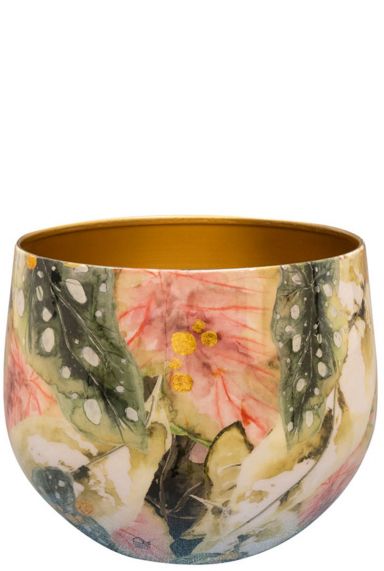 Lammie monstera mystery groen roze pot 4