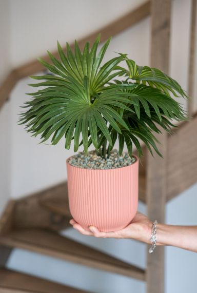 Palm kunstplant klein