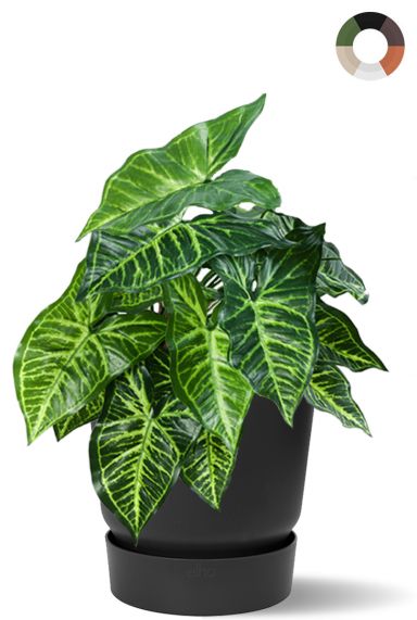 Philodendron kunstplant in pot