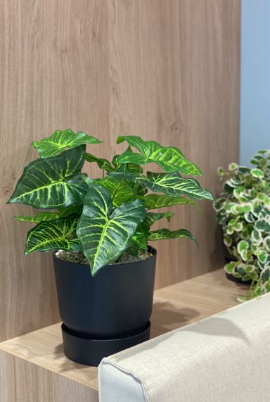 Philodendron zijde planten