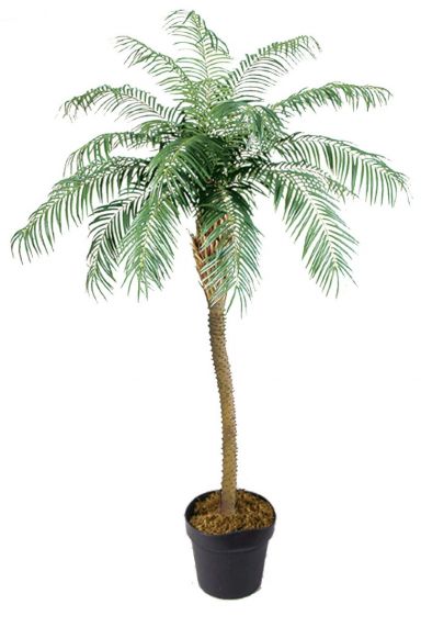 Phoenix palm kunstboom