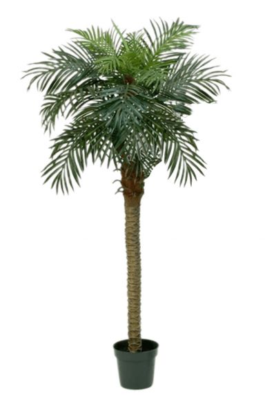Phoenix palm kunstboom 1