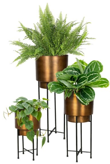 Plantenset minou potten