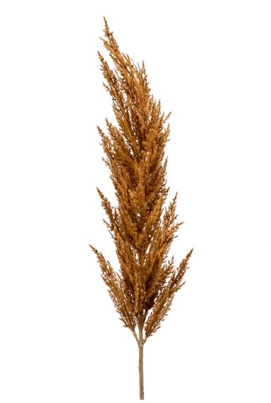 Pluim gras bruin kunst tak