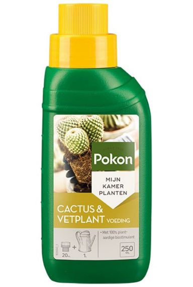 Pokon cactus voeding