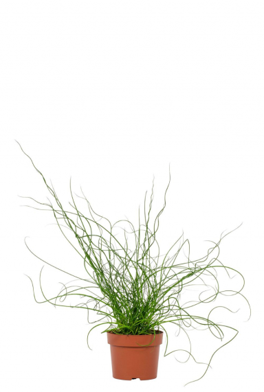 Product sfeer image 123