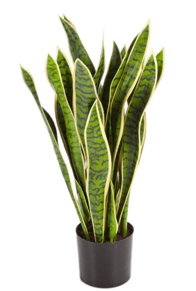 Sansevieria kunstplant kopen