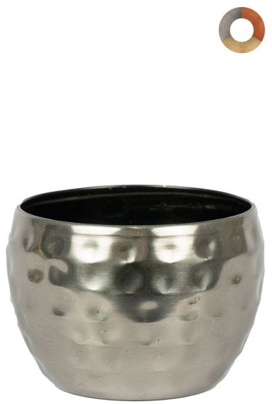 Ter-steege-kody-zilver-9cm