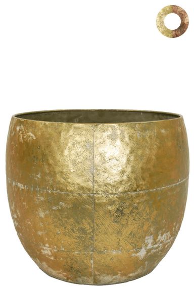 Ter-steege-thomas-goud-39cm