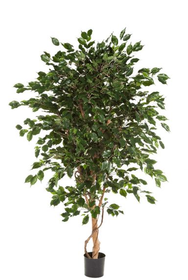 Zijdeboom kunstplant ficus