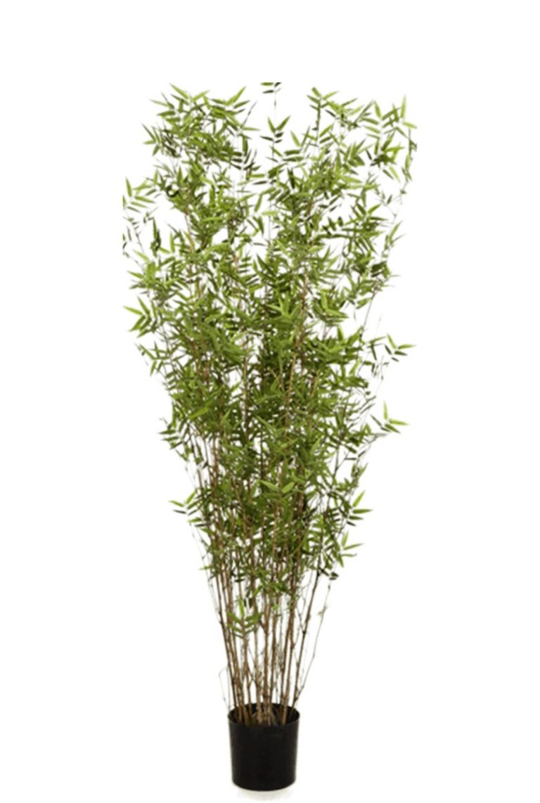 Extra Noord Amerika Pat Bamboe kunstplant van 130cm kopen?- 123planten.nl