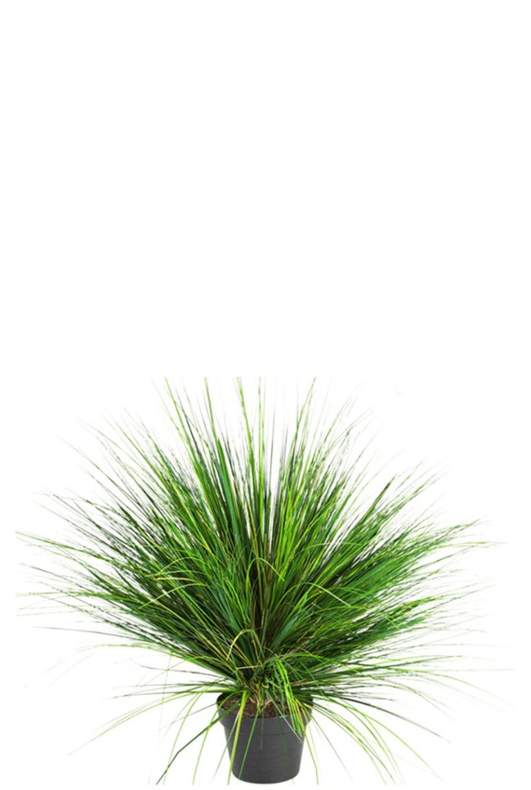 Grasplant kunstplant van 65cm