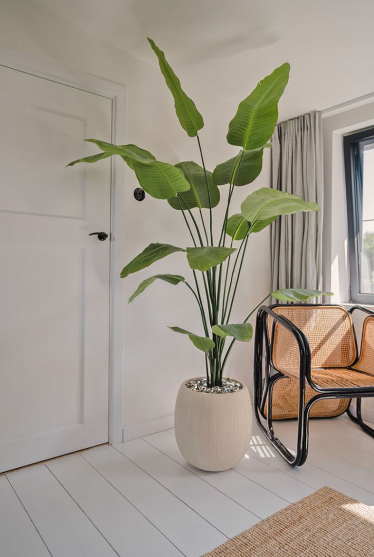 Tint Decoratie | Best Interiors