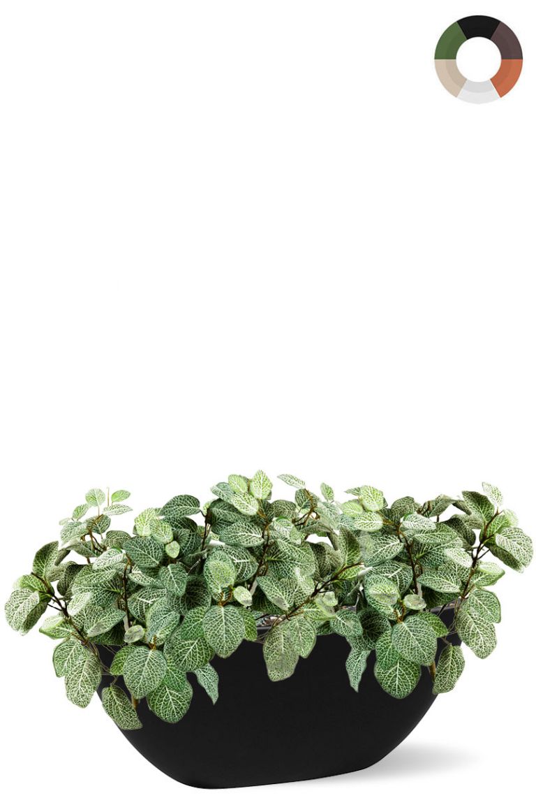 Elho bloempot Sereh antraciet 47 cm kopen? Bloempotten & plantenbakken