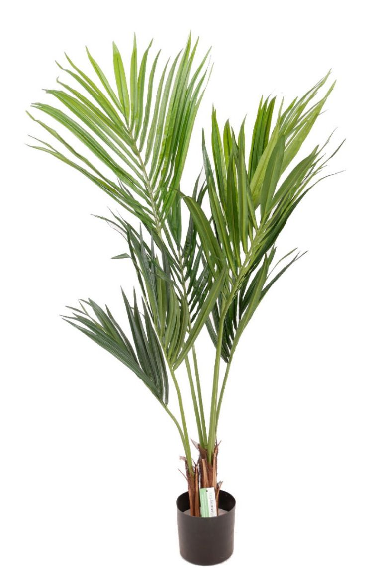 Overleg Bouwen op Festival Kentia palm kunstplant van 140cm kopen?- 123planten.nl