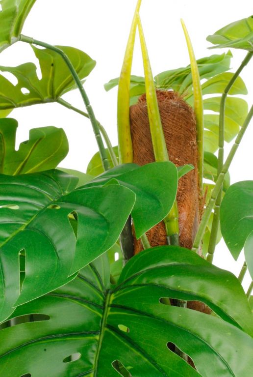Prachtige kunstplant Philodendron Monstera