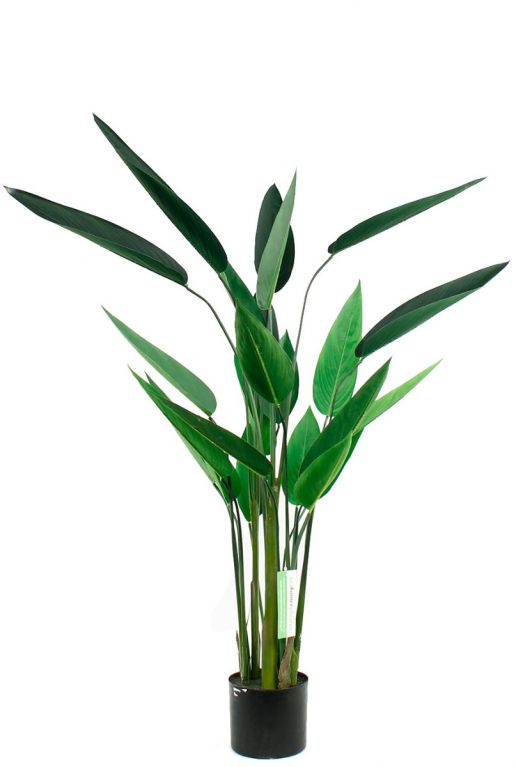 Heleconia kunstplant met grote groene bladeren