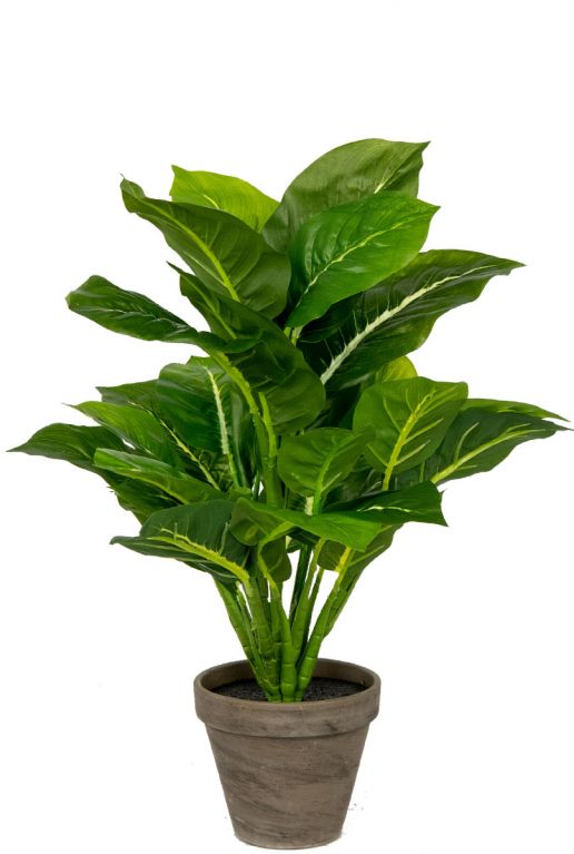 Aglaonema-evergreen-kunstplant