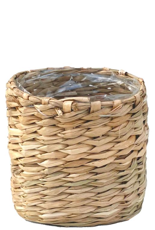 Alexis-mand-naturel-6cm