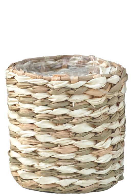 Alexis-mand-streep-wit-6cm